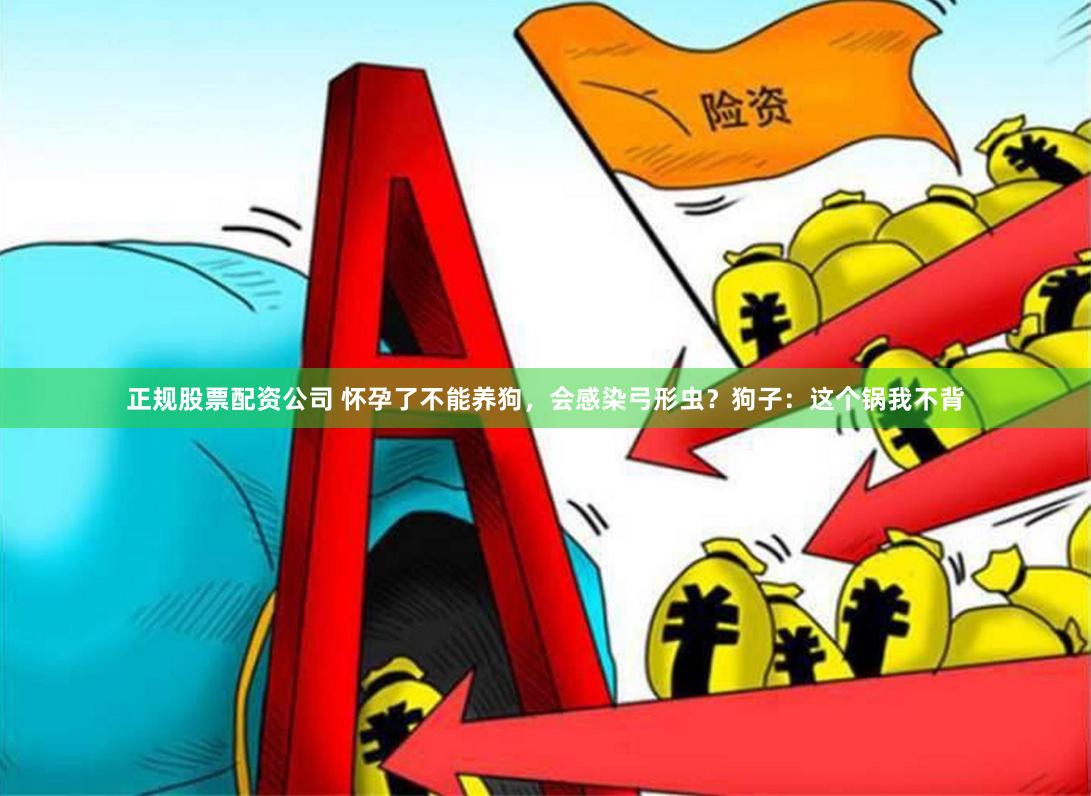 正规股票配资公司 怀孕了不能养狗，会感染弓形虫？狗子：这个锅我不背