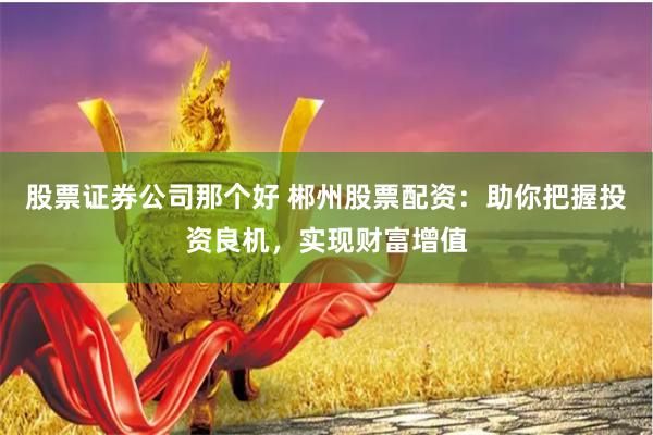 股票证券公司那个好 郴州股票配资：助你把握投资良机，实现财富增值