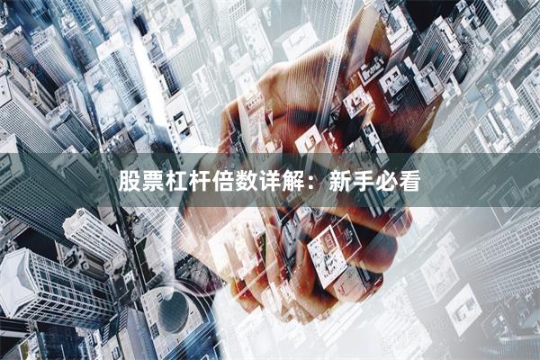 股票杠杆倍数详解：新手必看